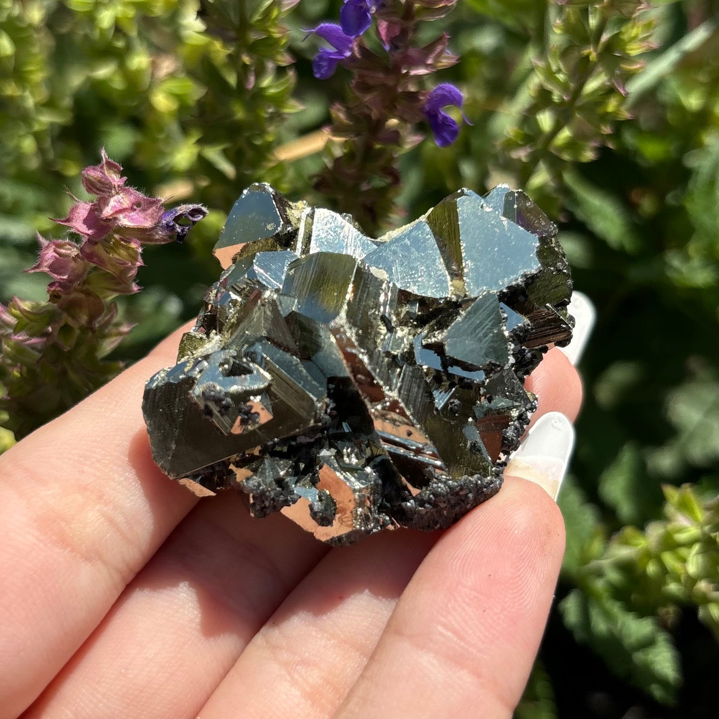 PYRITE CLUSTERS