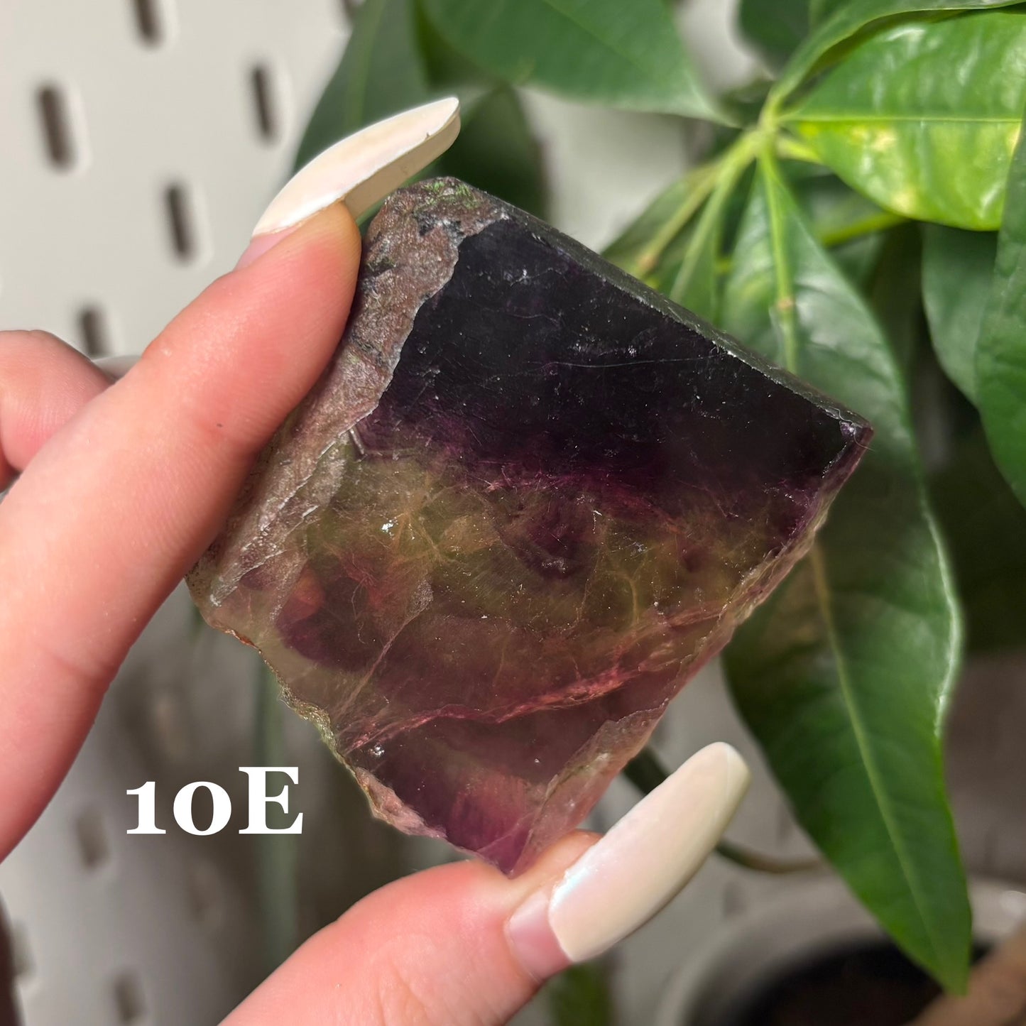 FLUORITE SLABS