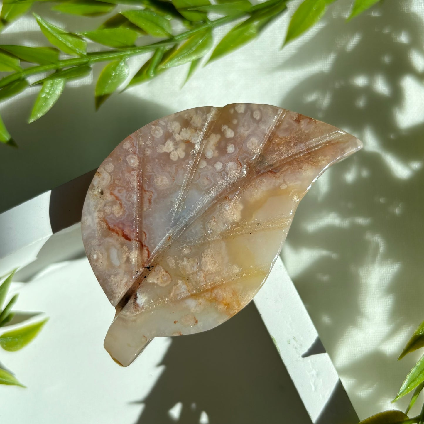 FLOWER AGATE LEAVES