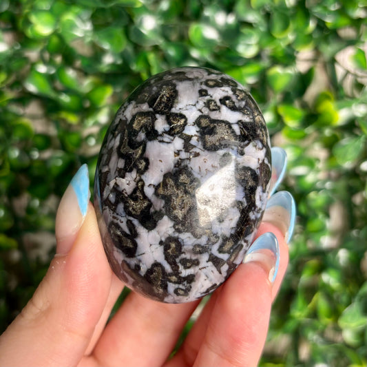 INDIGO GABBRO PALMSTONES