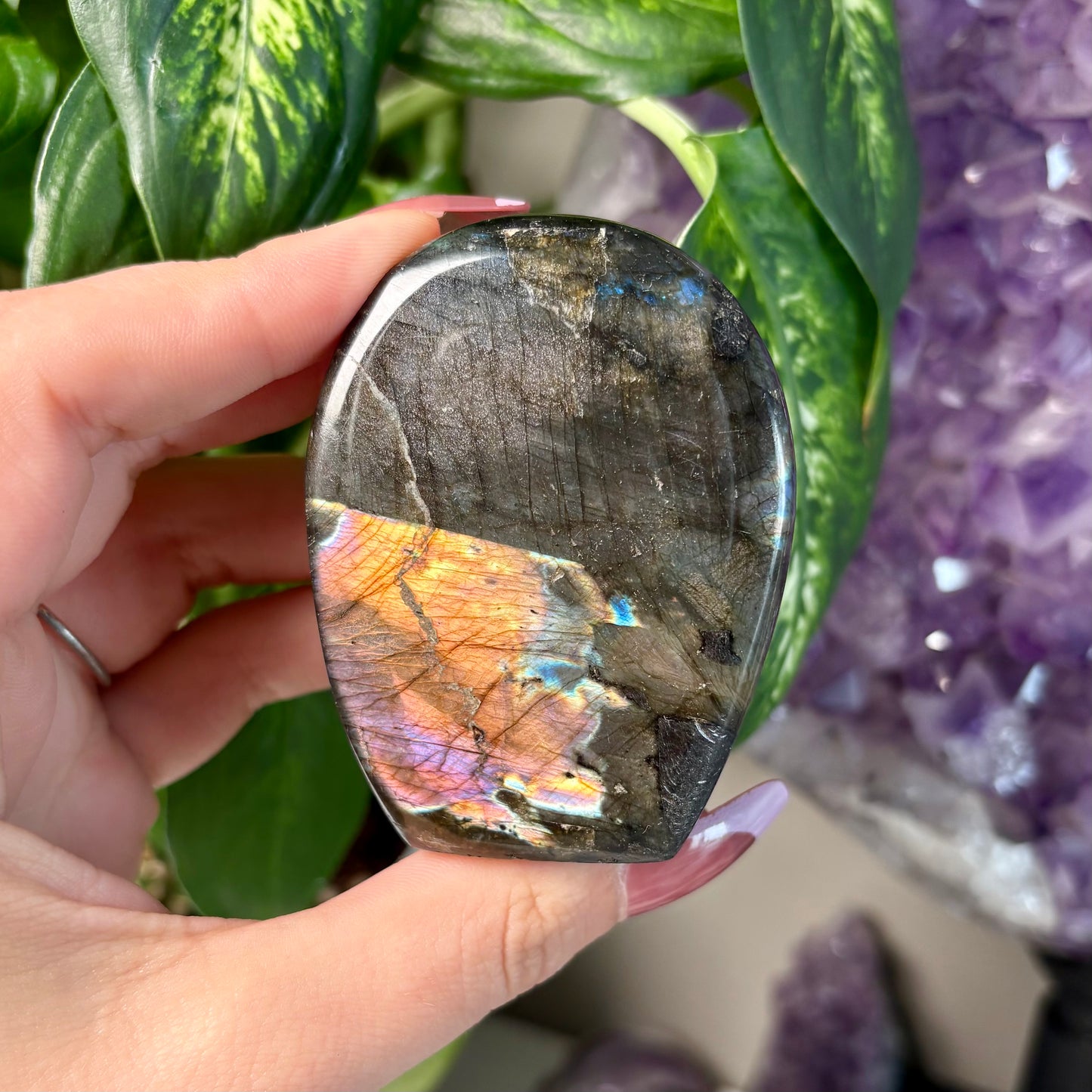 LABRADORITE FREEFORMS