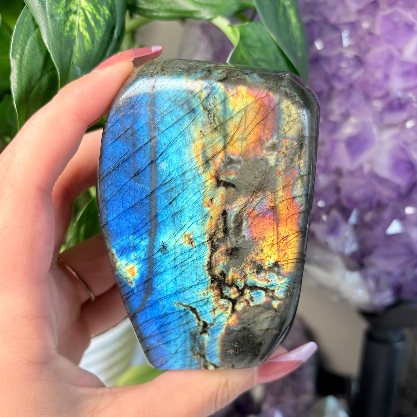 LABRADORITE FREEFORMS