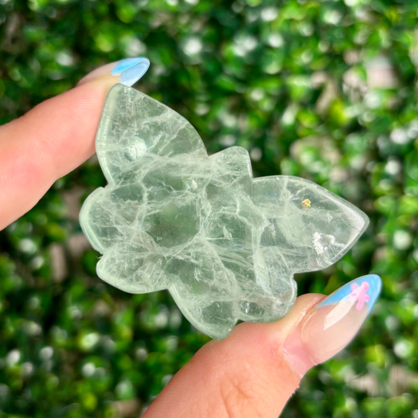 FLUORITE BUTTERFLY