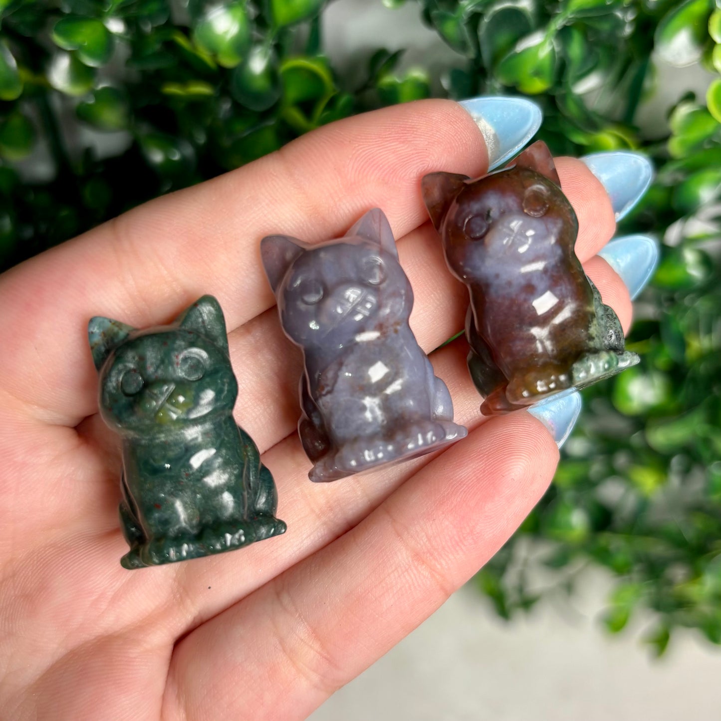 MOSS AGATE CAT