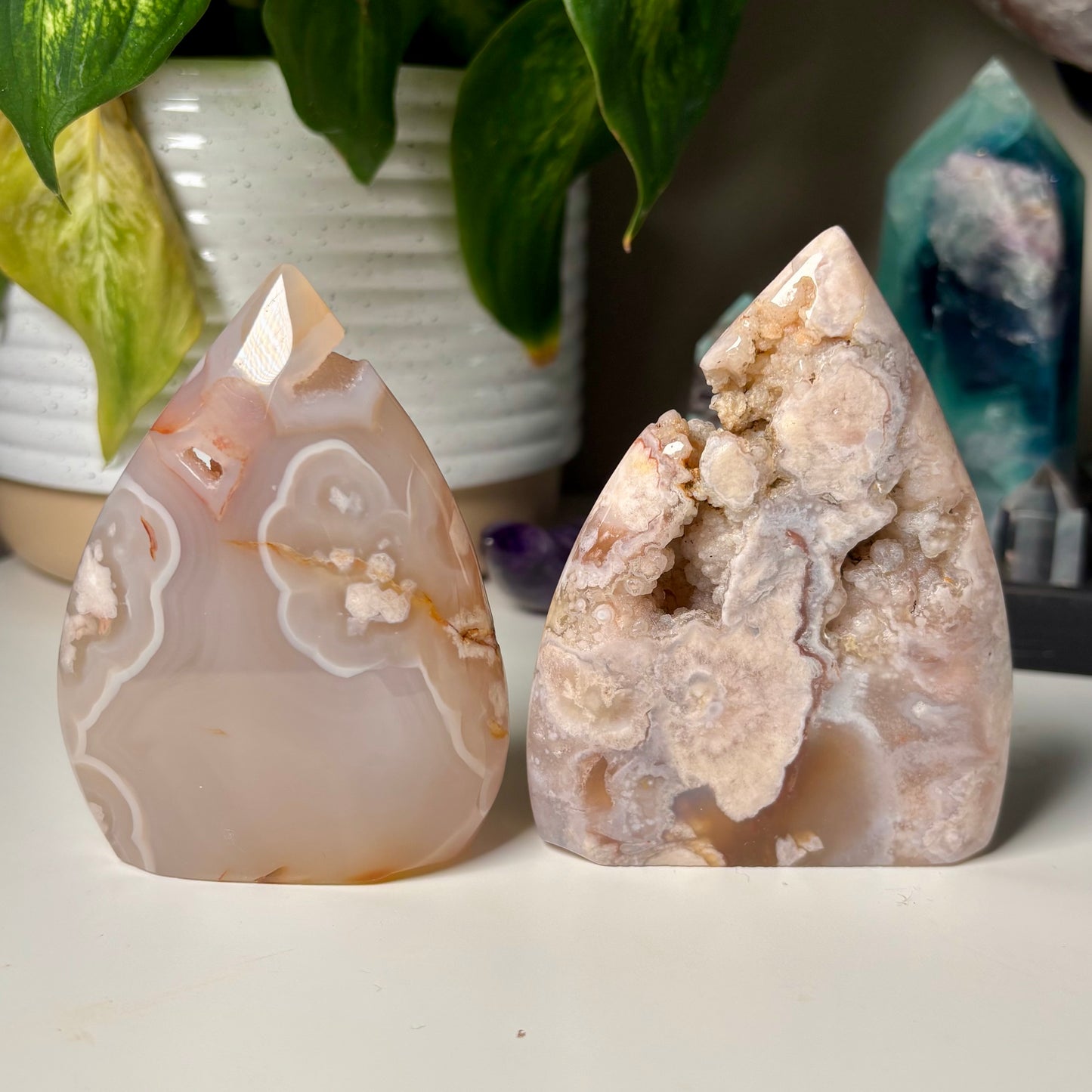 FLOWER AGATE FREEFORMS