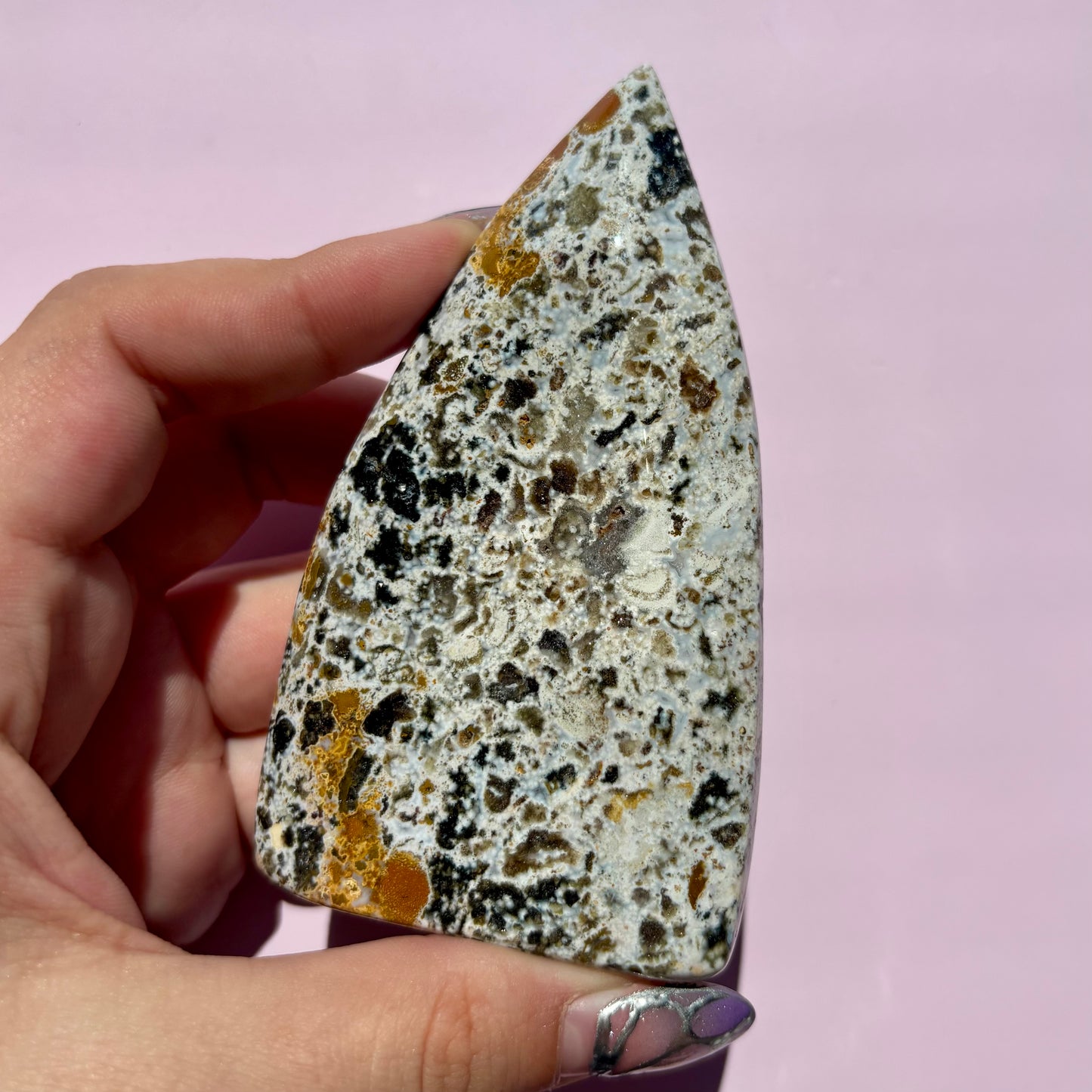 OCEAN JASPER FREEFORMS