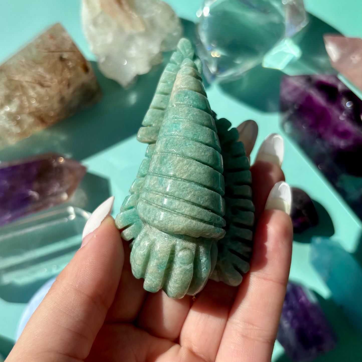 AMAZONITE SEA CREATURES