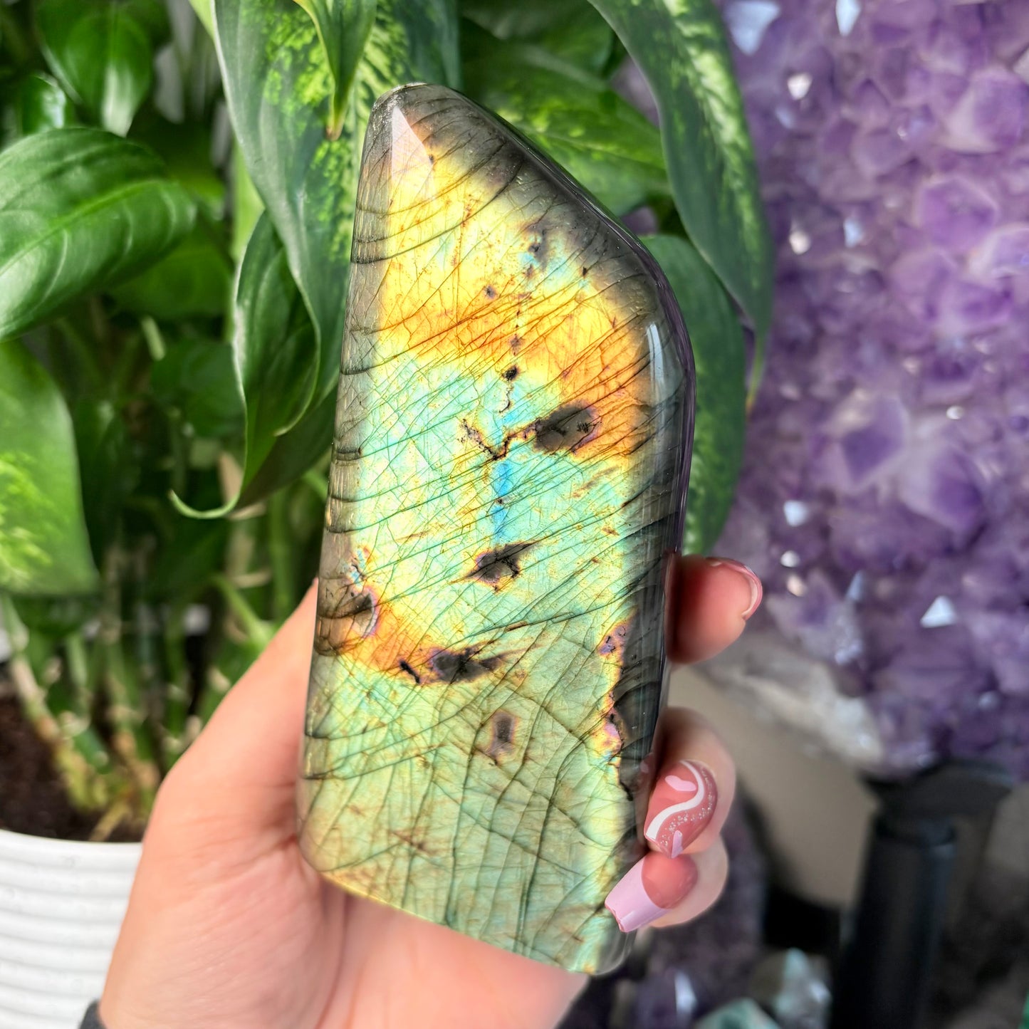 LABRADORITE FREEFORMS