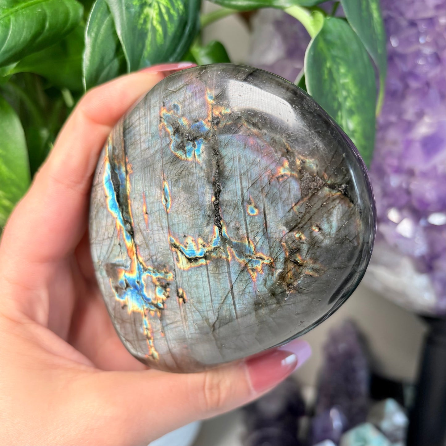 LABRADORITE FREEFORMS