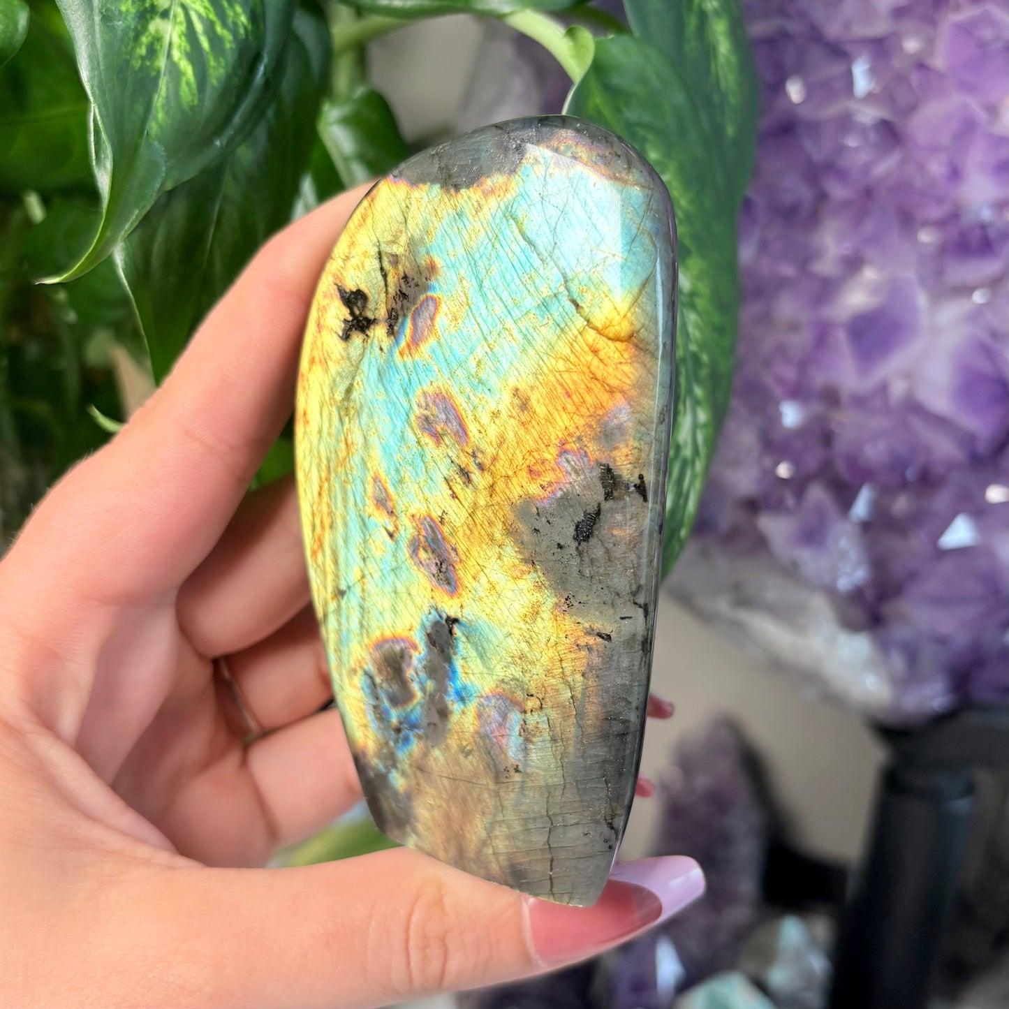 LABRADORITE FREEFORMS