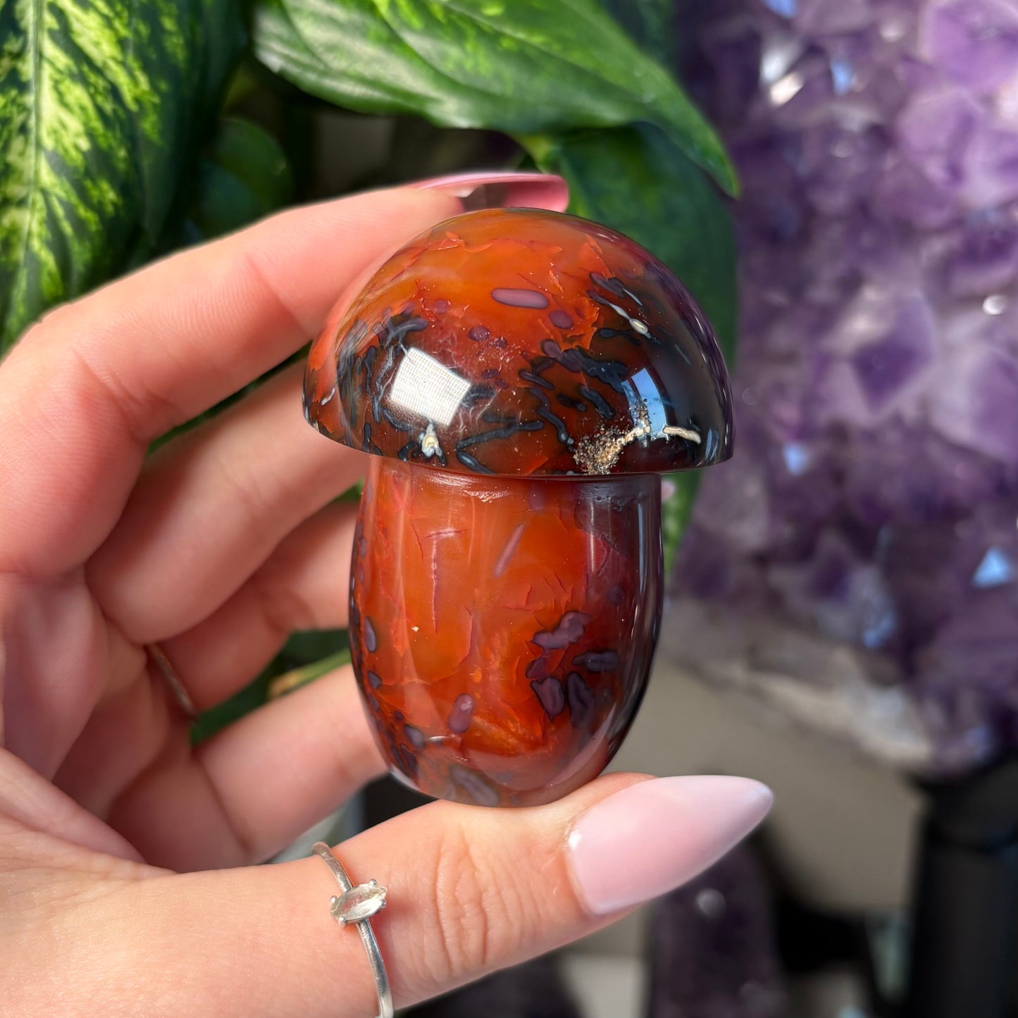 CARNELIAN MUSHROOM