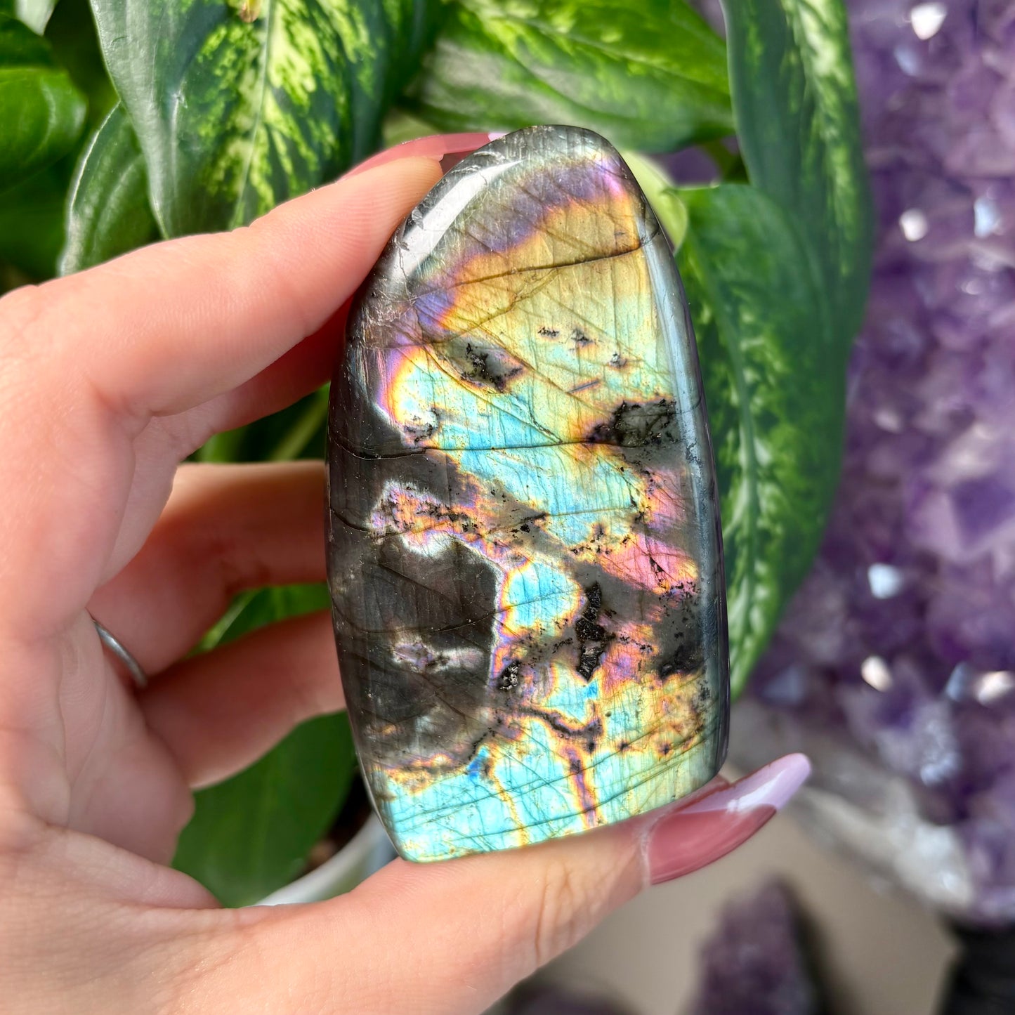 LABRADORITE FREEFORMS
