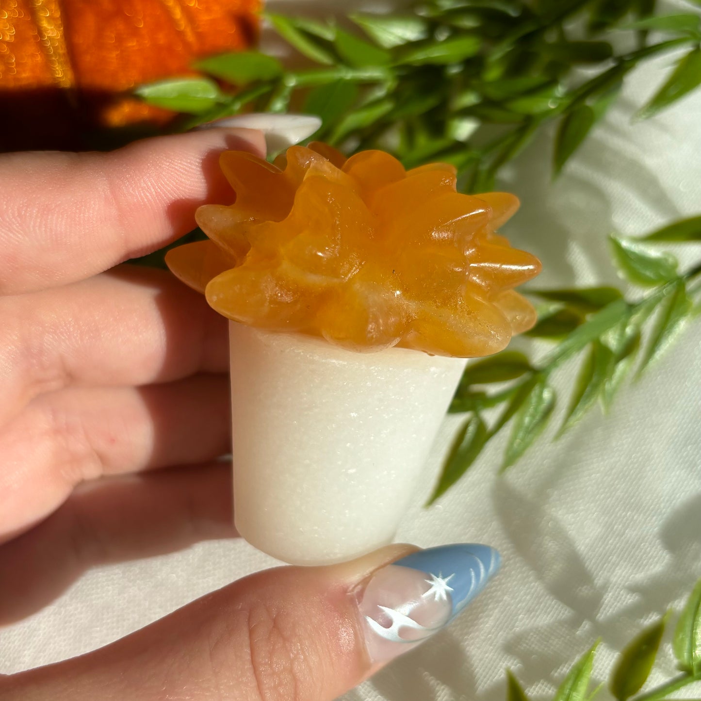 ORANGE CALCITE SUCCULENT