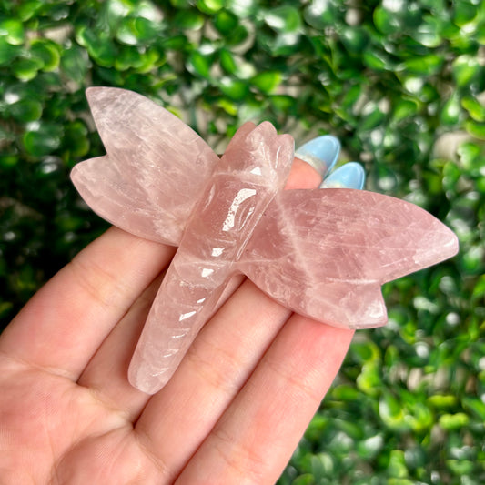 ROSE QUARTZ DRAGONFLY