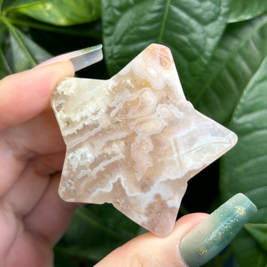 FLOWER AGATE STAR