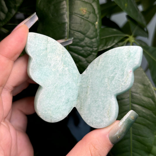 AMAZONITE 3D BUTTERFLY