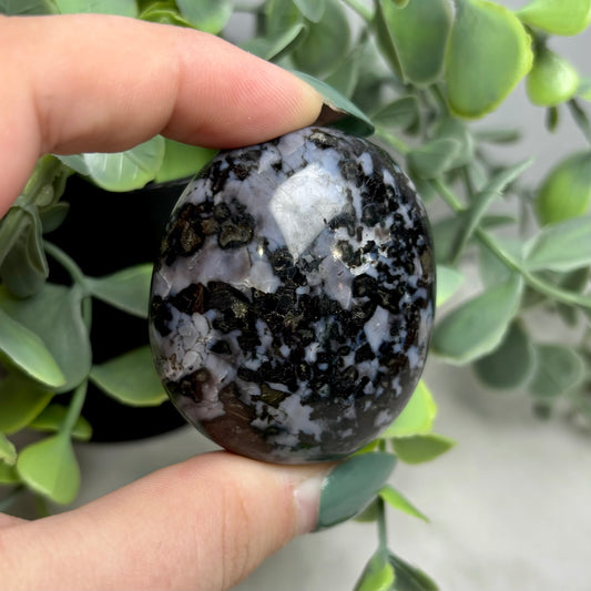 INDIGO GABBRO PALMSTONE