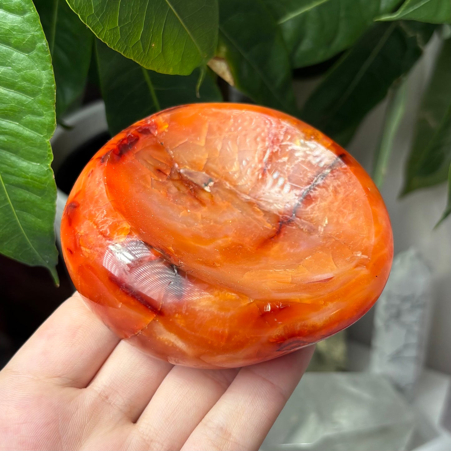 CARNELIAN BOWLS