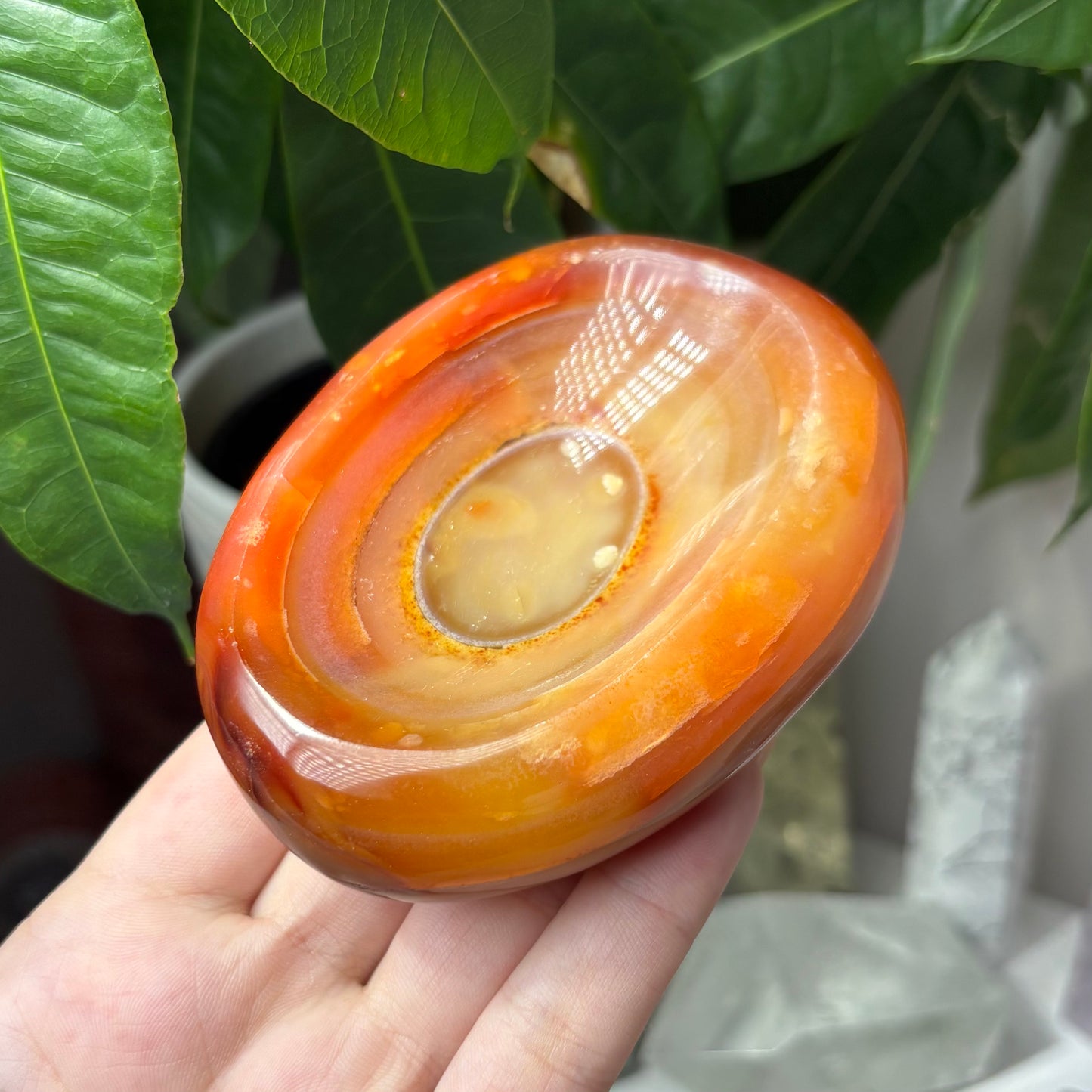 CARNELIAN BOWLS