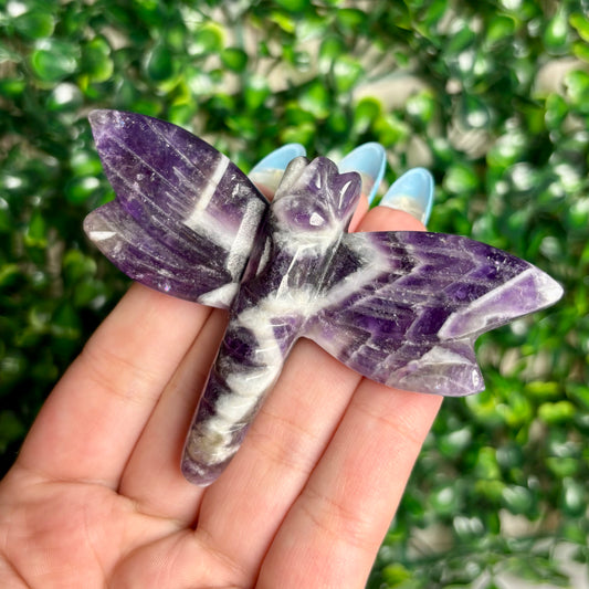 AMETHYST DRAGONFLY