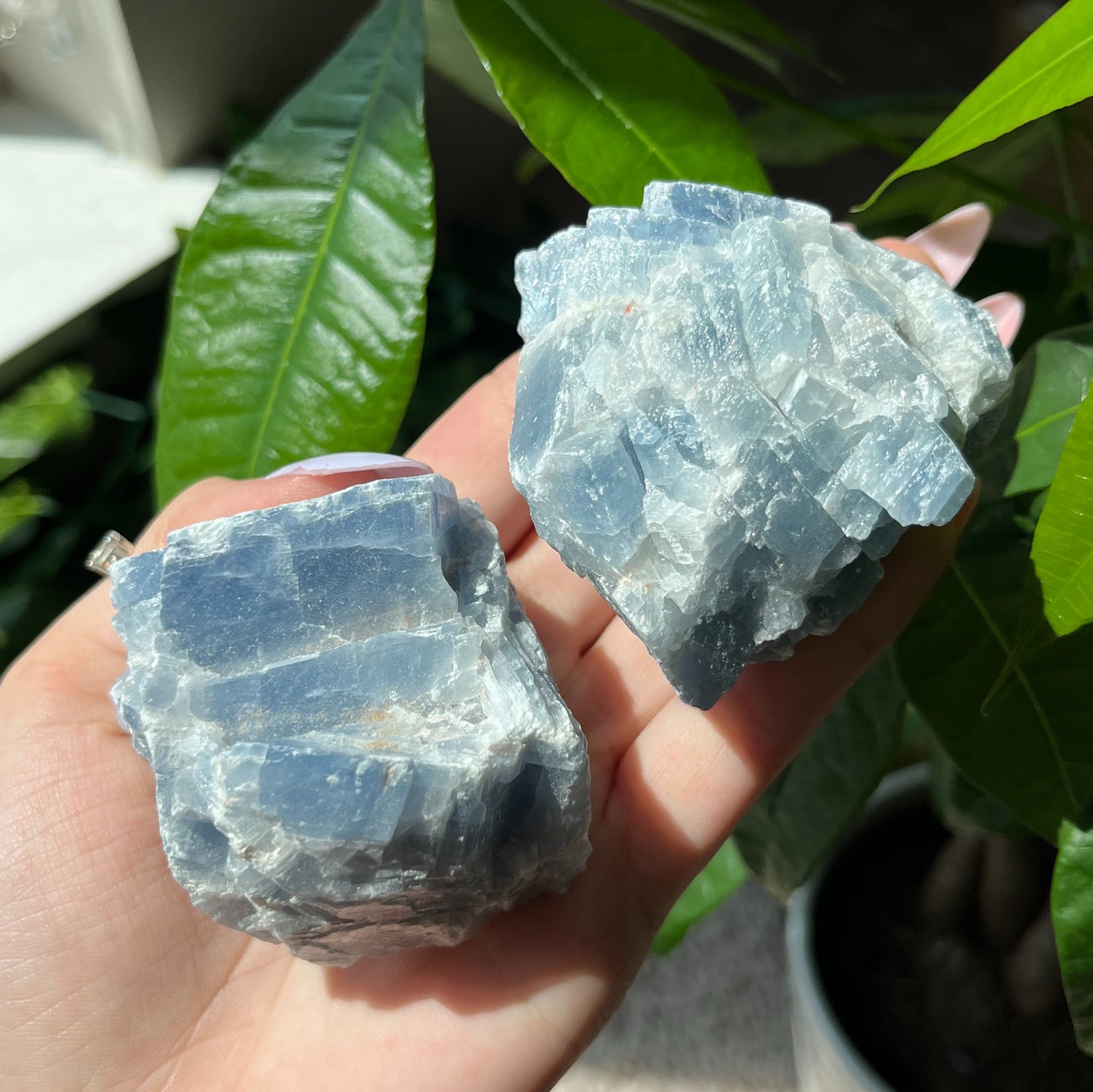 BLUE CALCITE (RAW) 🩵